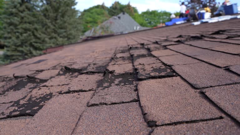 Best Hot Roofs  in Gig Harbor, WA